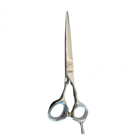 ASR 40379, tijera de corte sálon 6´´ filo navaja asuer ASR 40379, tijera de corte sálon 6´´ filo navaja asuer