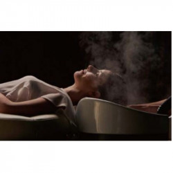 PB PBSEC402836, Ion Steamer vaporizador capilar iónico para tratamientos de spa