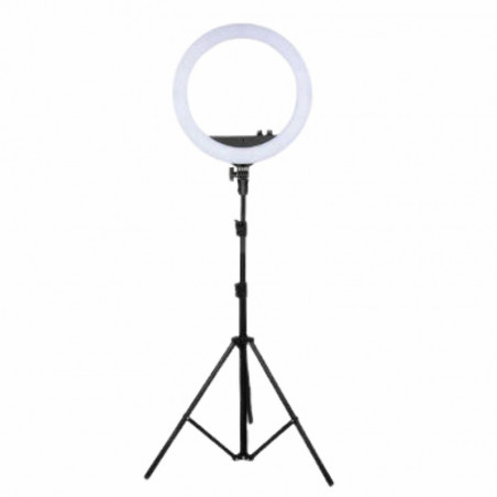 PB PBEST43428, bright Ring anillo de luz profesional , lampara profesional para vídeos foto
