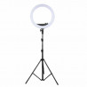 PB PBEST43428, bright Ring anillo de luz profesional , lampara profesional para vídeos foto