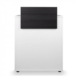 Recepción Dylan white madera negra