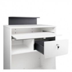 MIY DYLAN 22/50, Recepción Dylan hormigón blanco