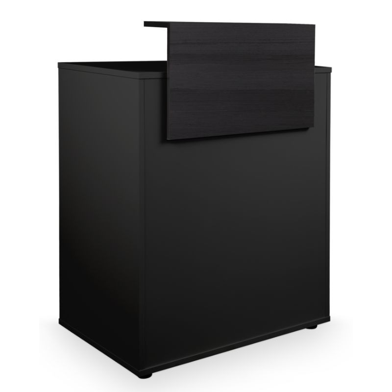 MIY DYLAN 98/98, Recepción Dylan black total