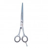ORL 06816, tijera modelo cosmos line peluqueria y barberia 06816 eurostil profesional