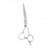 BLD BLSC-4006 - 09164, tijera de corte super-ergo 6 blessed profesional barberia