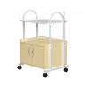 NEY SK011, carrito auxiliar metalica, metalica 1 carrito 2 puertas