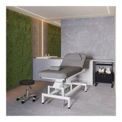conjunto promoción cabina de estetica tapizado en gris