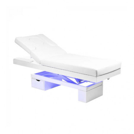 camilla electrica bed light spa 2 motores y led