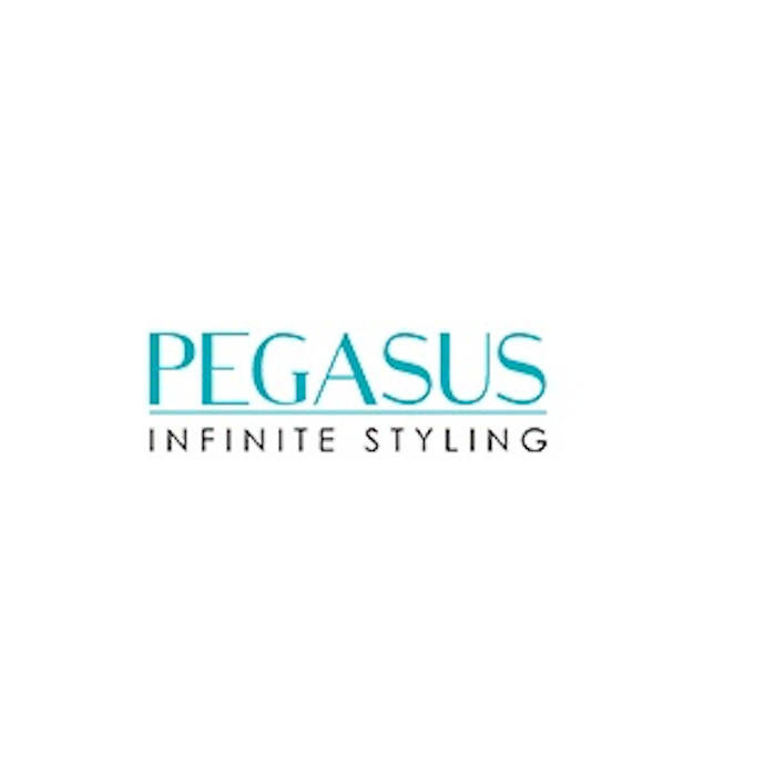 Pegasus infinite styling